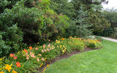 Transform Your Career with Our Free Landscape Maintenance Certificate Program