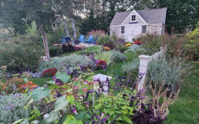 Why Pursue a Career in Landscape Maintenance?