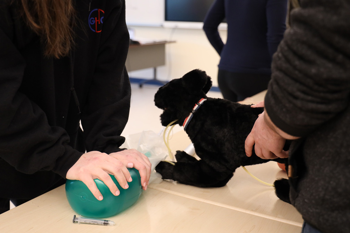 Learning to help animals breathe